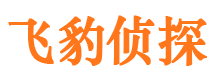 平桥市婚姻调查